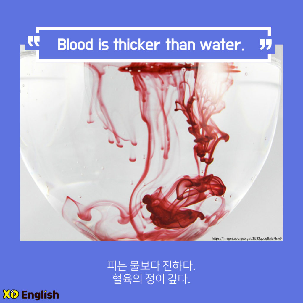 Blood Is Thicker Than Water.
피는 물보다 진하다. 혈육의 정이 깊다. 