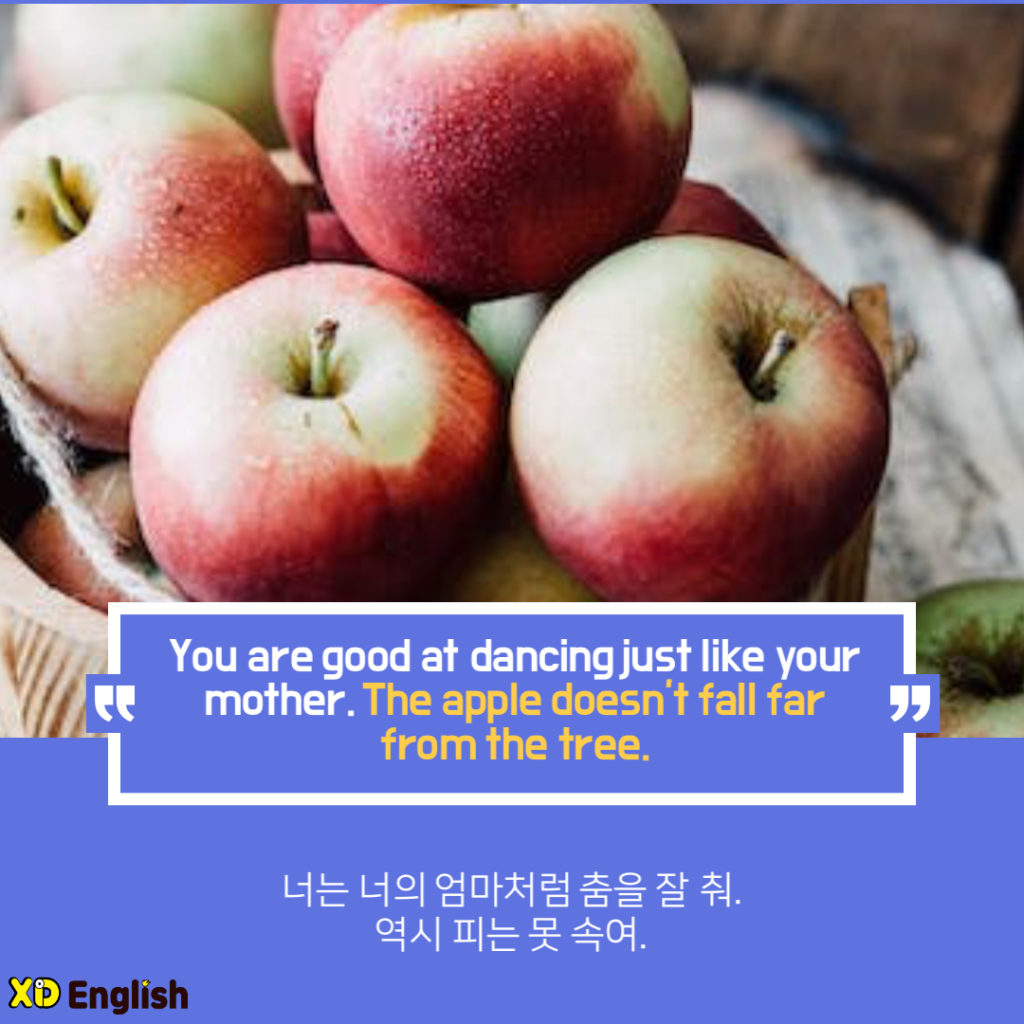 You Are Good At Dancing Just Like Your Mother. The Apple Doesn’t Fall Far From The Tree.
너는 너의 엄마처럼 춤을 잘 춰. 역시 피는 못 속여. 