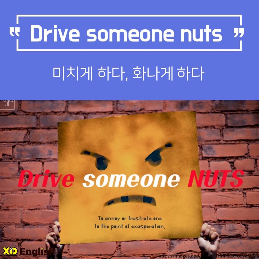 Drive Someone Nuts
미치게 하다, 화나게 하다