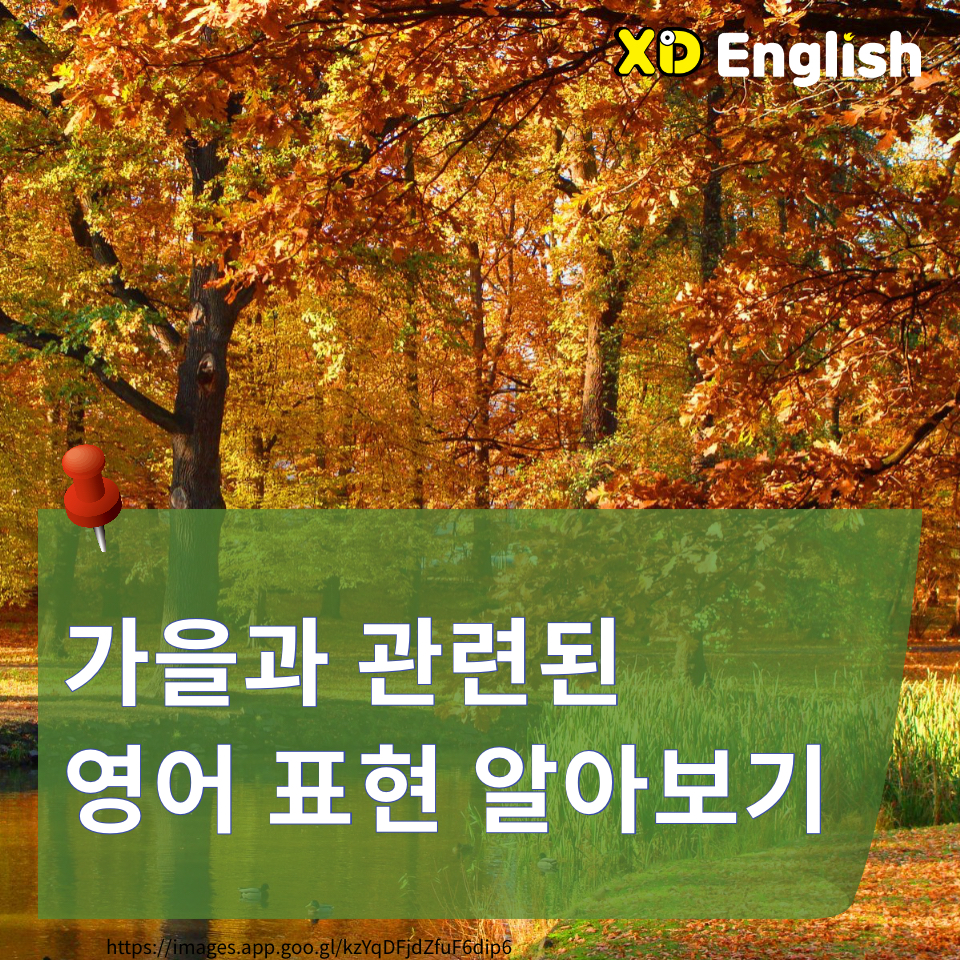 가을과 관련된 영어 표현 알아보기
